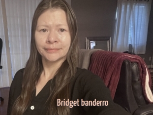 Bridget_banderro